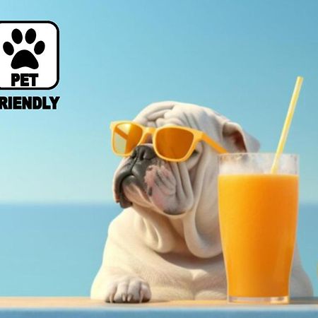 San Carlo - Terrazzo Sul Mare Con Ristorante E Pizzeria Bed & Breakfast Zambrone Ngoại thất bức ảnh