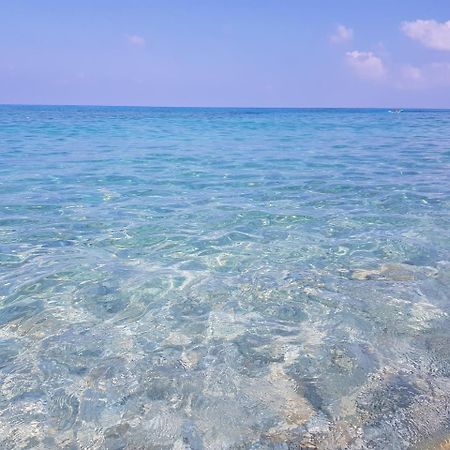San Carlo - Terrazzo Sul Mare Con Ristorante E Pizzeria Bed & Breakfast Zambrone Ngoại thất bức ảnh